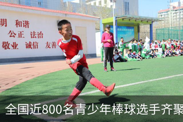 全国近800名青少年棒球选手齐聚佛山挥棒争锋