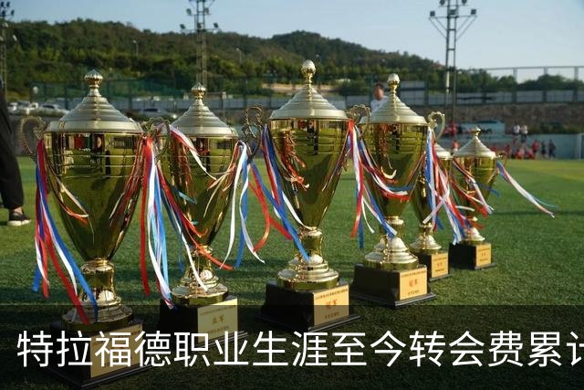 特拉福德职业生涯至今转会费累计9530万欧，创造足坛历史门将纪录